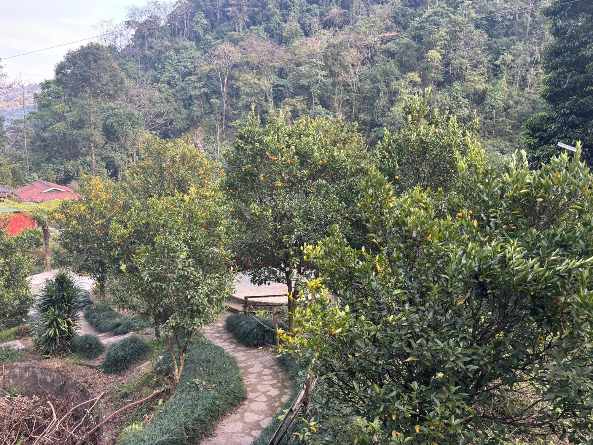 Odyssey Stays Rimbi Pelling Extérieur photo